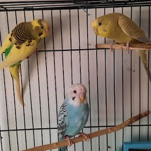 Meet your Posher, Alberto